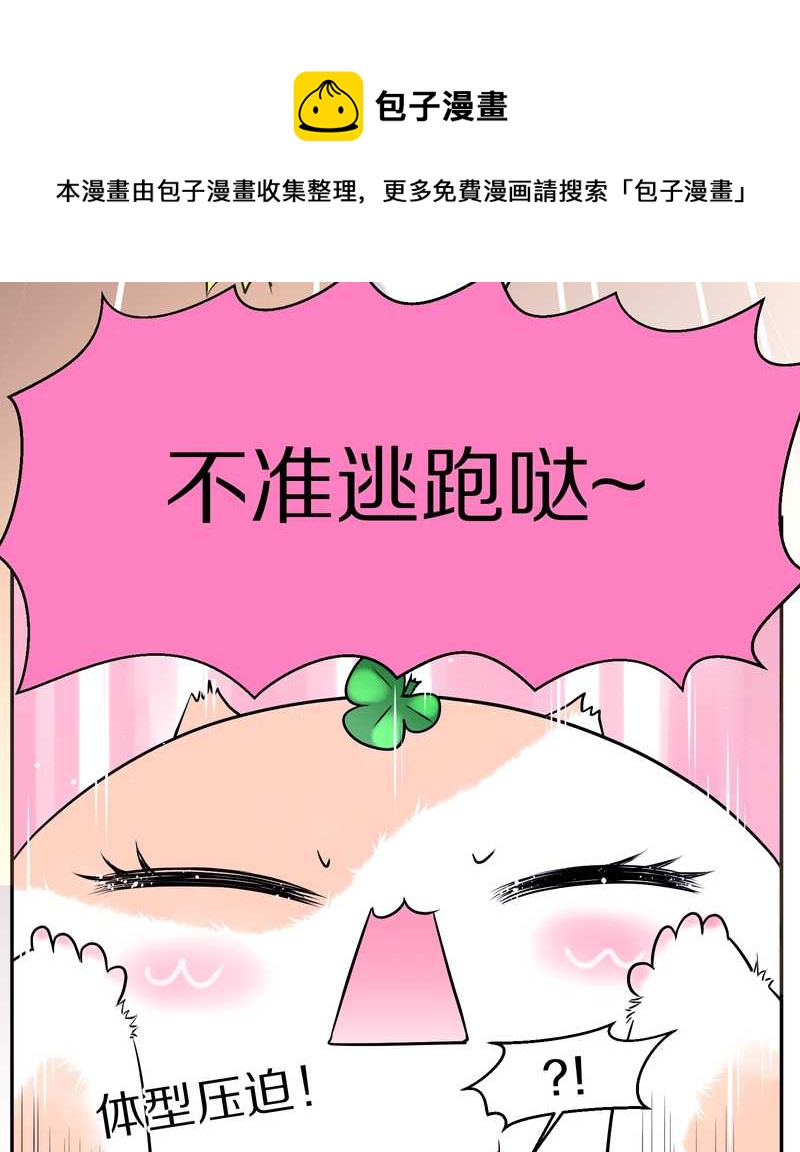 毛球星传说 第73集(1/2)-第73话