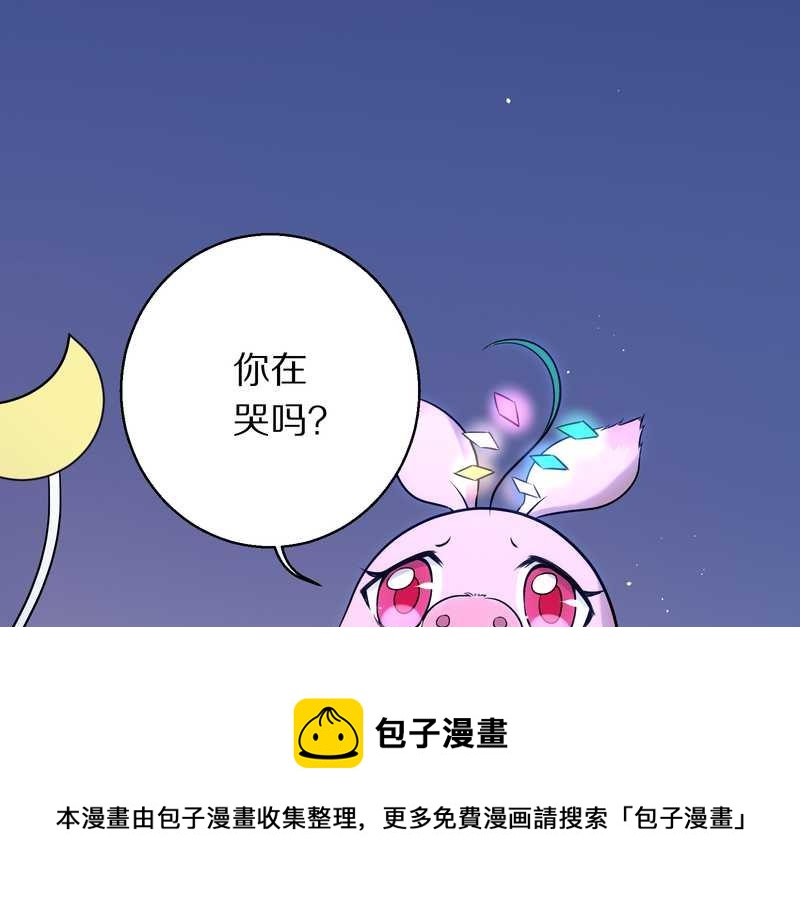 毛球星传说 第75集(1/2)-第75话