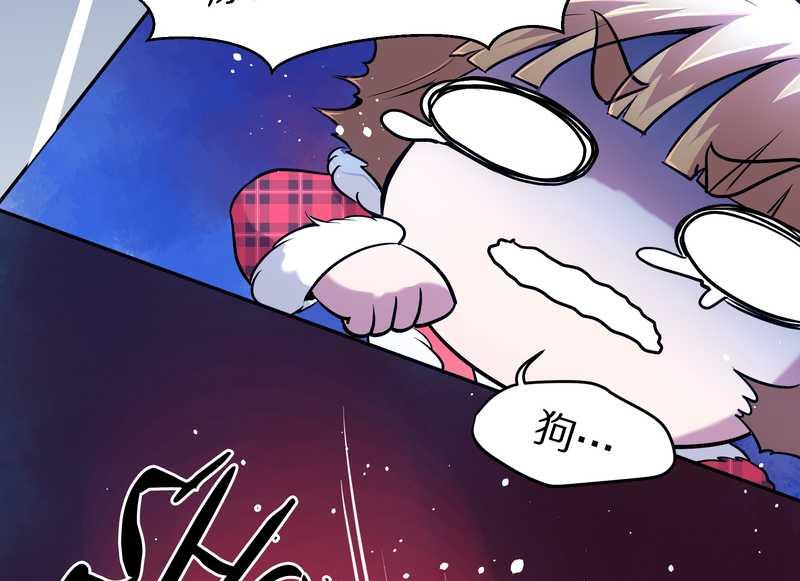 毛球星传说 第77集(1/2)-第77话