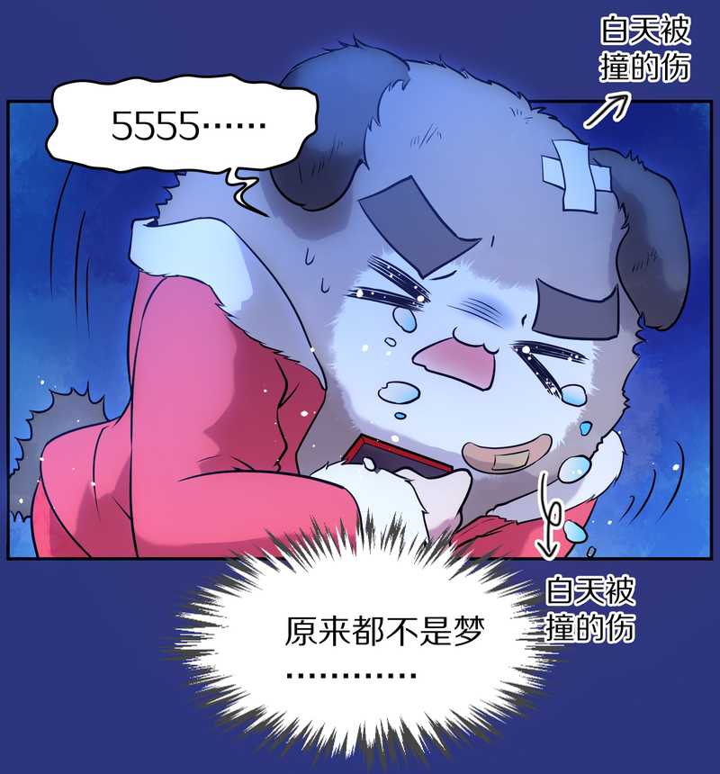 毛球星传说 第77集(1/2)-第77话