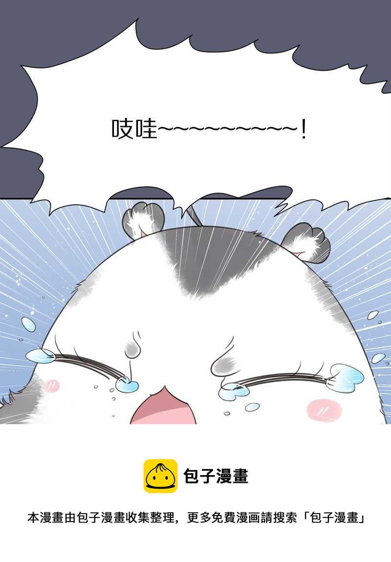 毛球星传说 第9集-第9话