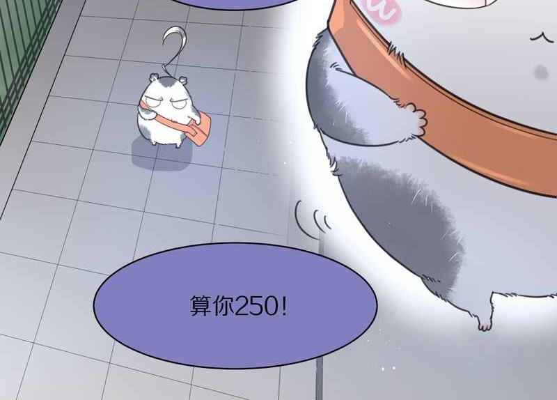 毛球星传说 第9集-第9话