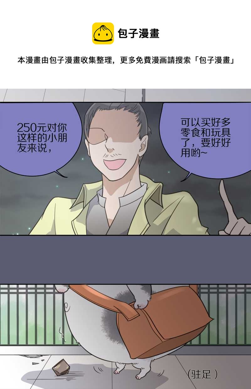 毛球星传说 第9集-第9话