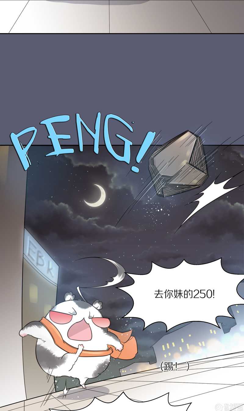 毛球星传说 第9集-第9话