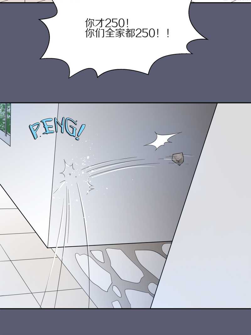 毛球星传说 第9集-第9话