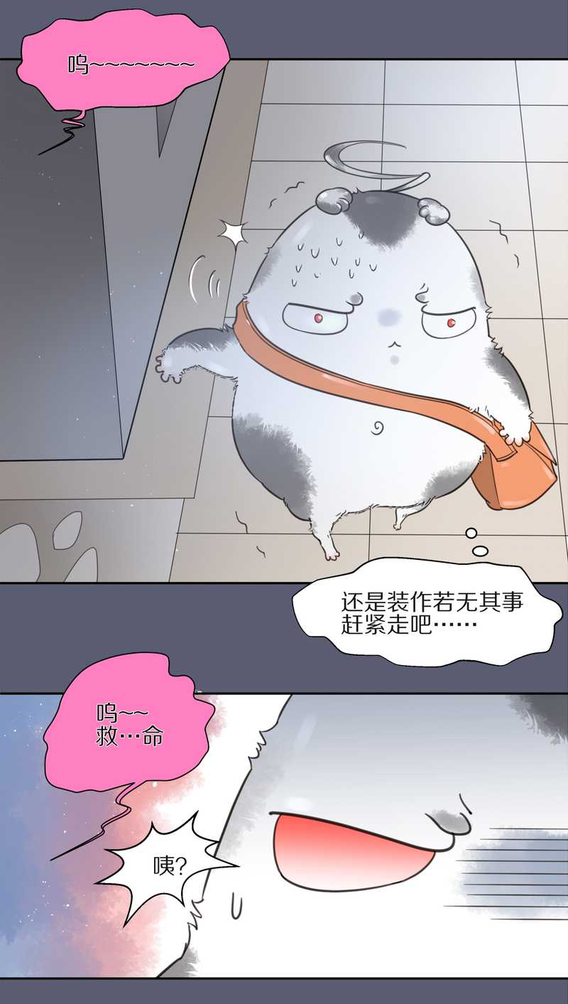 毛球星传说 第9集-第9话