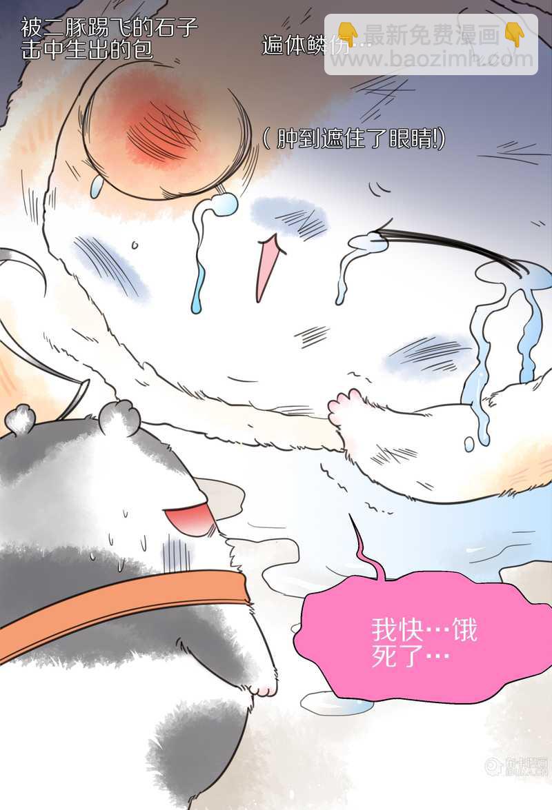 毛球星传说 第9集-第9话