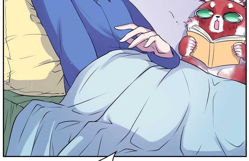 毛球星传说 第81集(1/2)-第81话