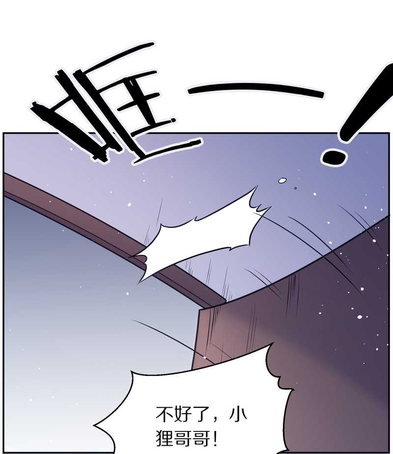 毛球星传说 第81集(1/2)-第81话