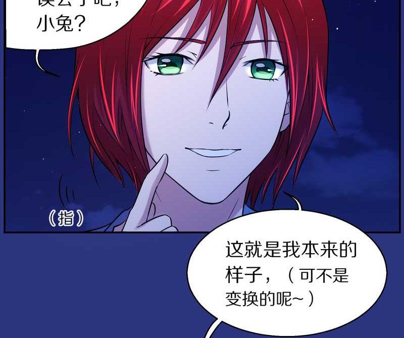 毛球星传说 第83集(1/3)-第83话