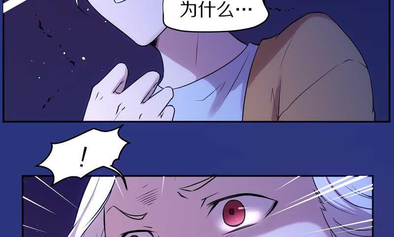 毛球星传说 第83集(1/3)-第83话