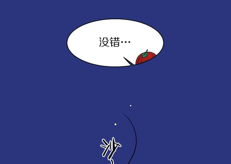 毛球星传说 第83集(1/3)-第83话