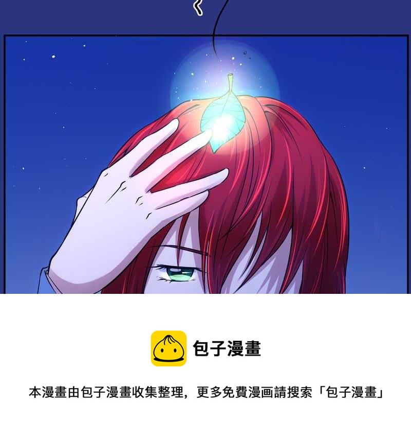 毛球星传说 第83集(1/3)-第83话