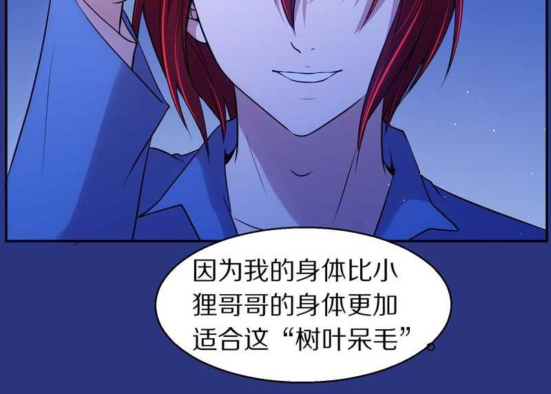 毛球星传说 第83集(1/3)-第83话