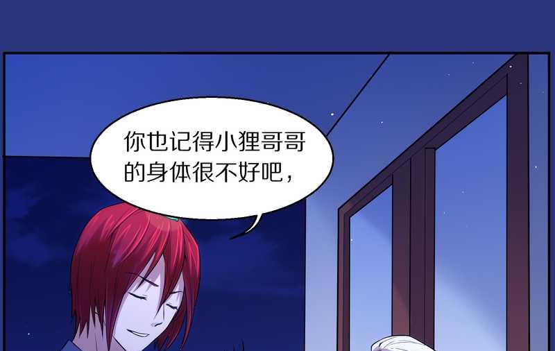 毛球星传说 第83集(1/3)-第83话