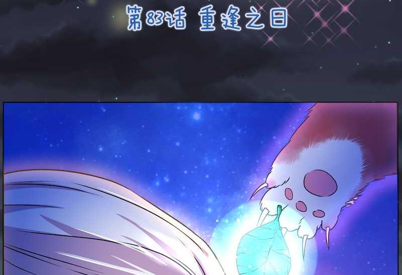 毛球星传说 第83集(1/3)-第83话