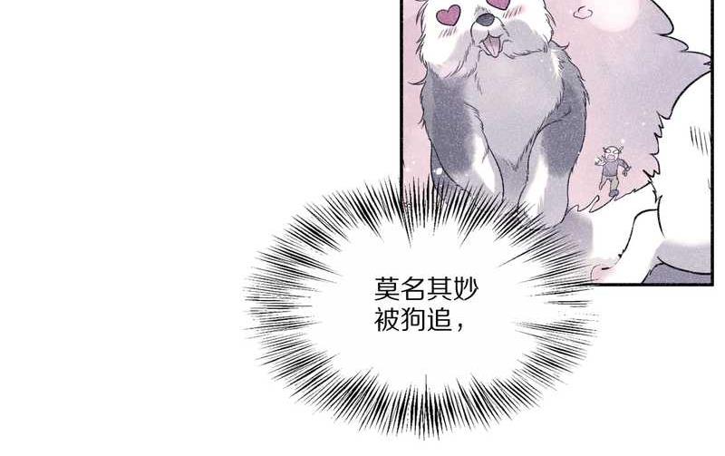 毛球星传说 第85集(1/2)-第85话