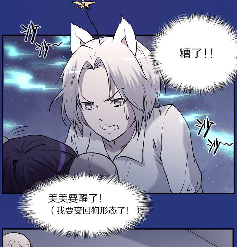 毛球星传说 第85集(1/2)-第85话