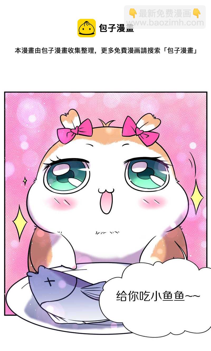 毛球星传说 第87集(1/2)-第87话