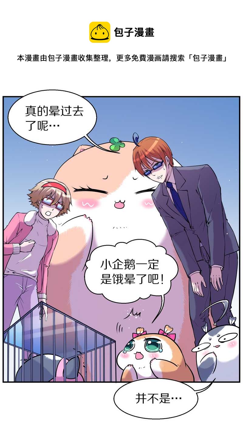 毛球星传说 第87集(1/2)-第87话