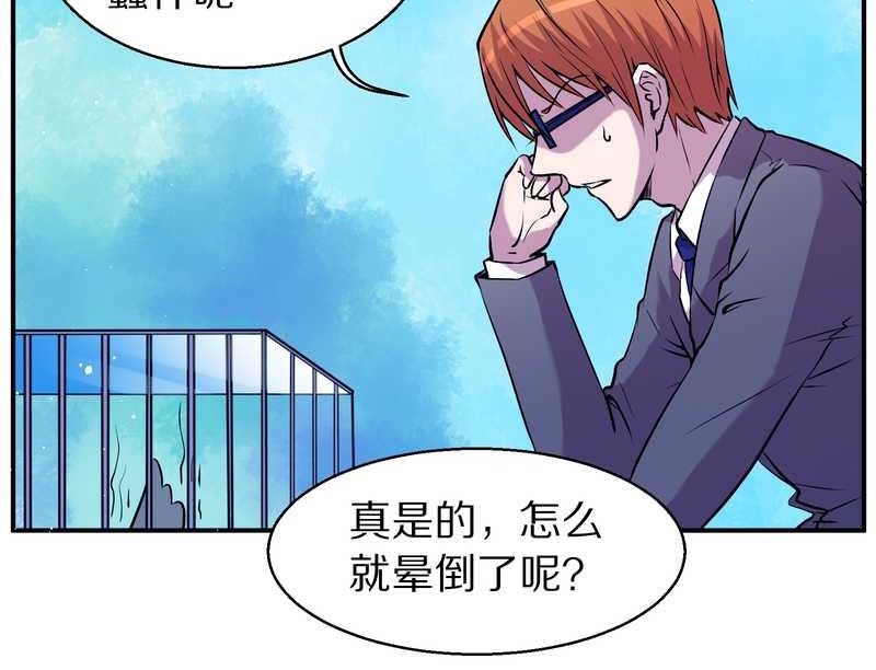 毛球星传说 第87集(1/2)-第87话