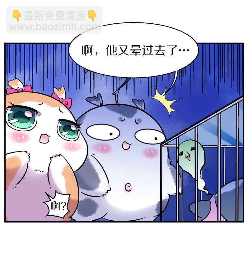 毛球星传说 第87集(1/2)-第87话