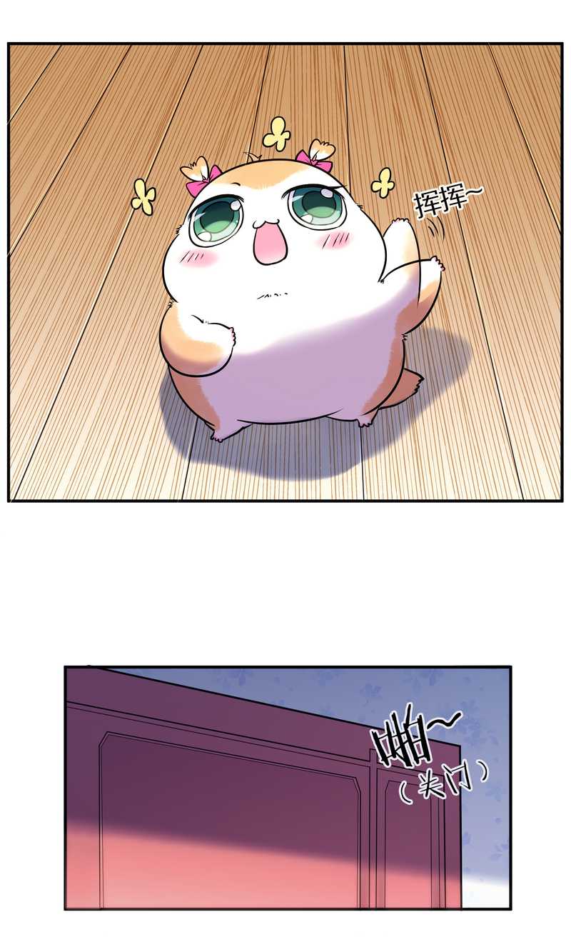 毛球星传说 第89集(1/3)-第89话