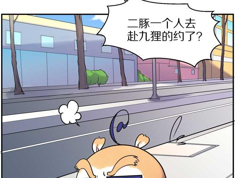 毛球星传说 第89集(1/3)-第89话