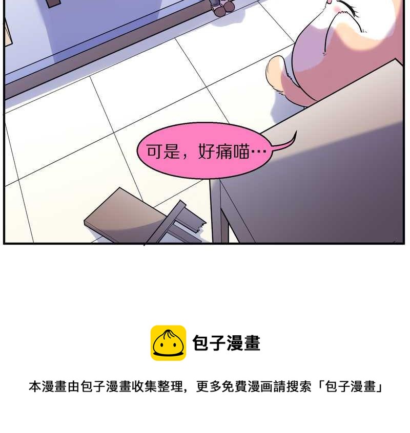 毛球星传说 第89集(1/3)-第89话