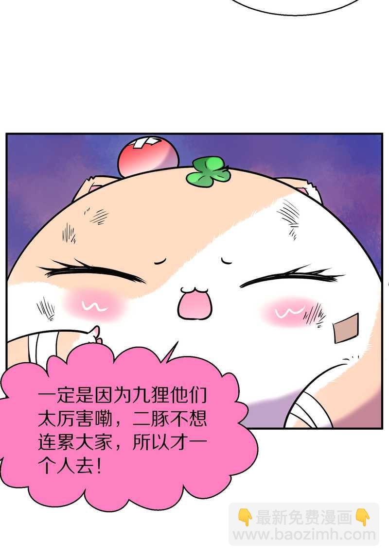 毛球星传说 第89集(1/3)-第89话