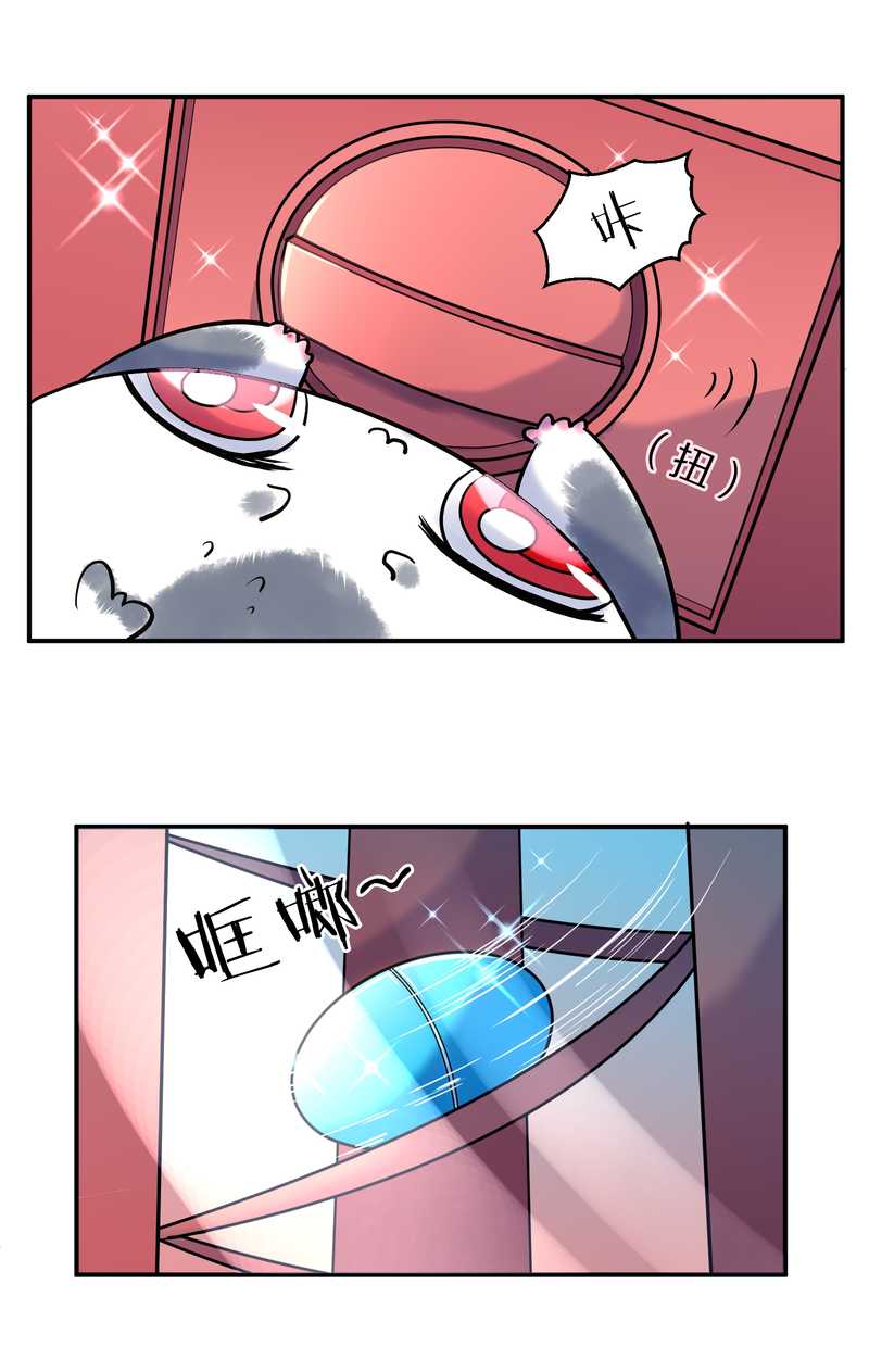 毛球星传说 第91集(1/3)-第91话