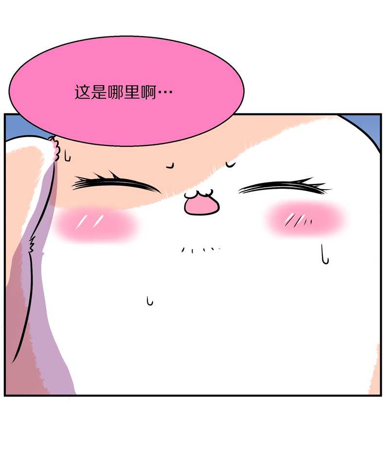 毛球星传说 第95集(1/3)-第95话