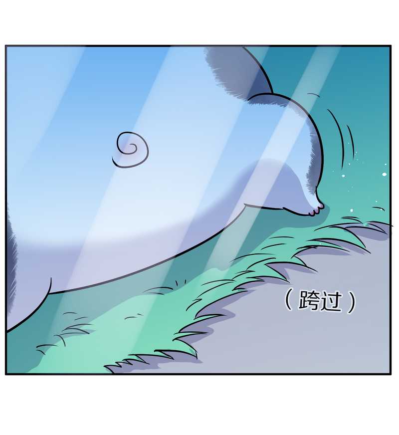 毛球星传说 第95集(1/3)-第95话