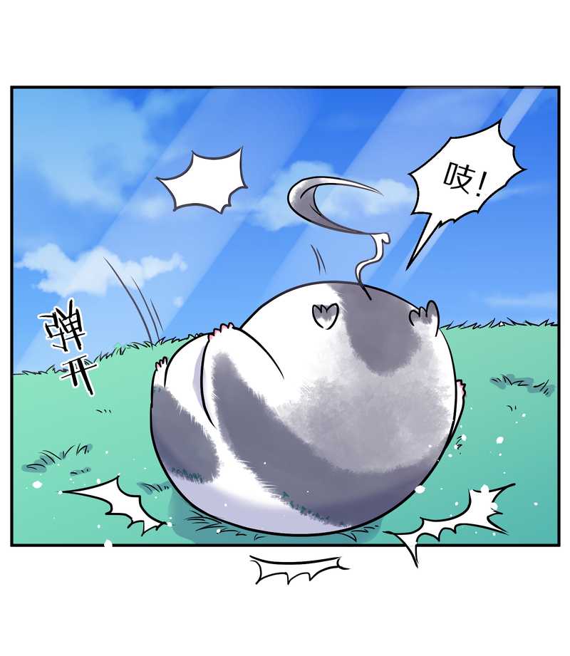 毛球星传说 第95集(1/3)-第95话