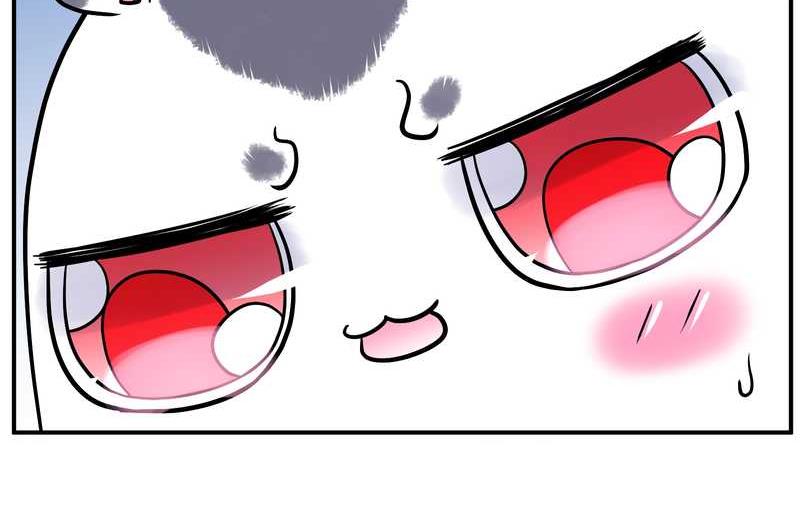 毛球星传说 第95集(1/3)-第95话