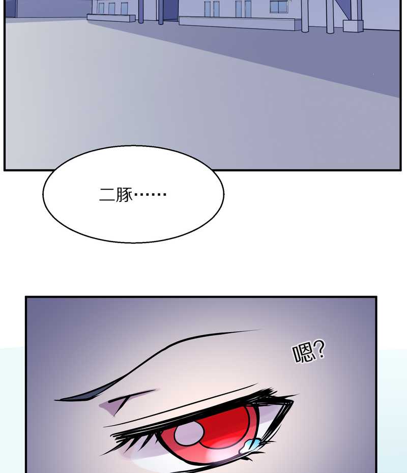 毛球星传说 第97集(1/2)-第97话