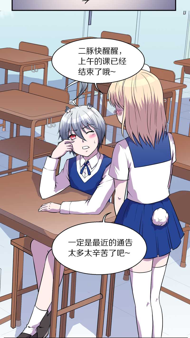 毛球星传说 第97集(1/2)-第97话