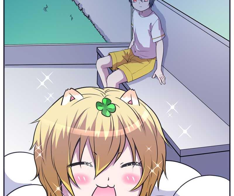 毛球星传说 第99集(1/3)-第99话