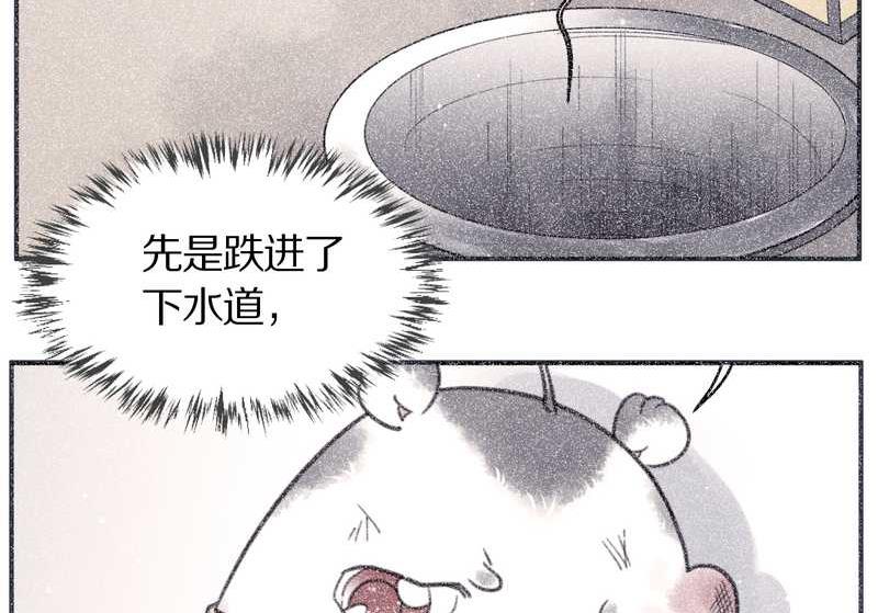 毛球星传说 第99集(1/3)-第99话