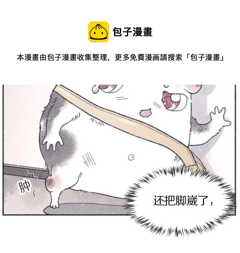 毛球星传说 第99集(1/3)-第99话