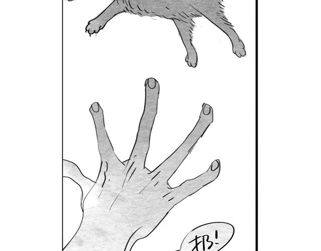 第13话 范宁，你的弟弟好奇怪-第13话