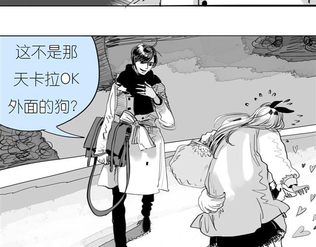 第23话 不准玩我的狗！(1/2)-第23话