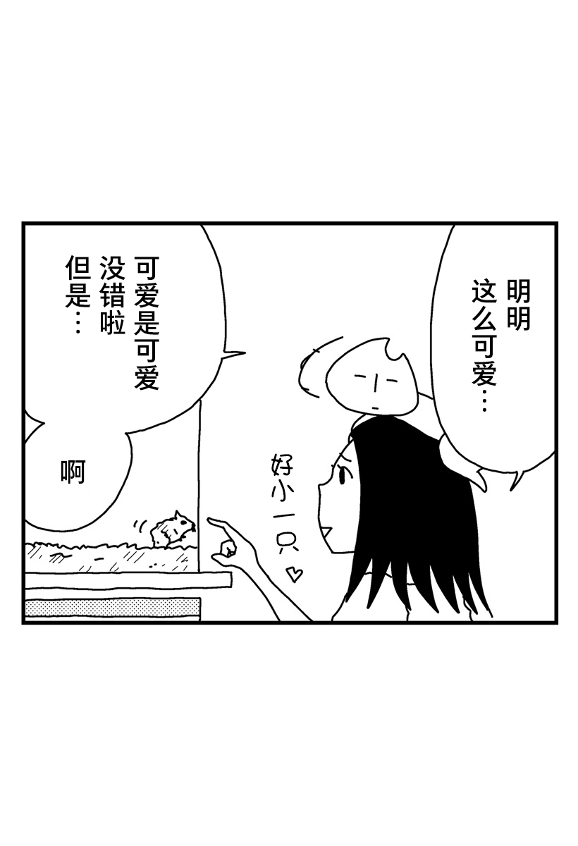 貓田日和 - 第05話 - 1