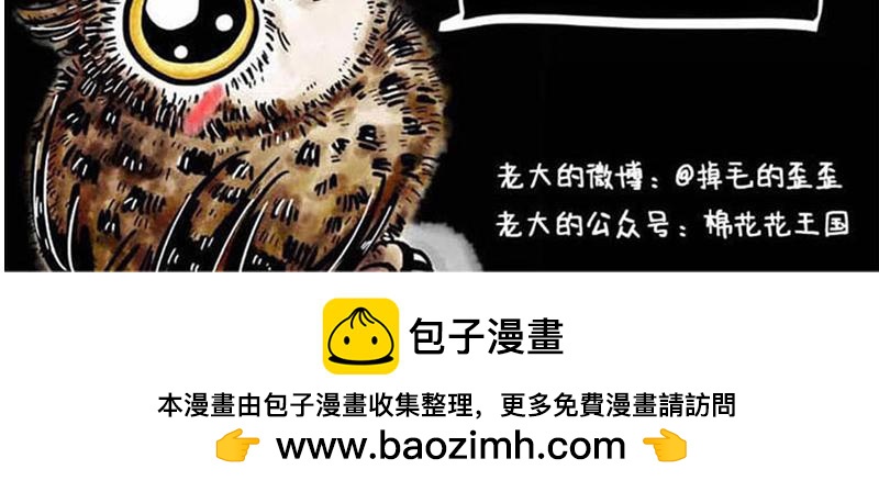 第15话 10大解暑妙招-第15话