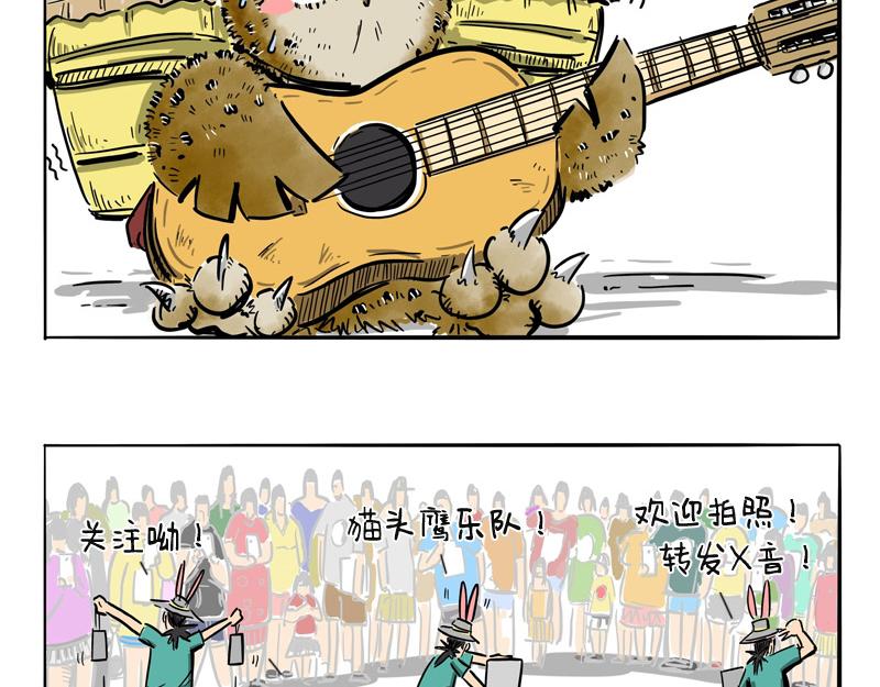 猫头鹰乐队成立-第19话