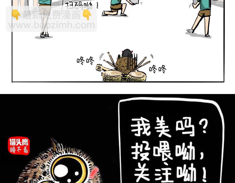 猫头鹰乐队成立-第19话