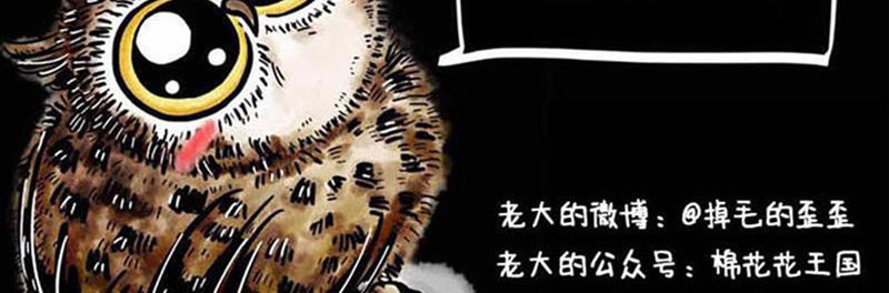 猫头鹰乐队成立-第19话