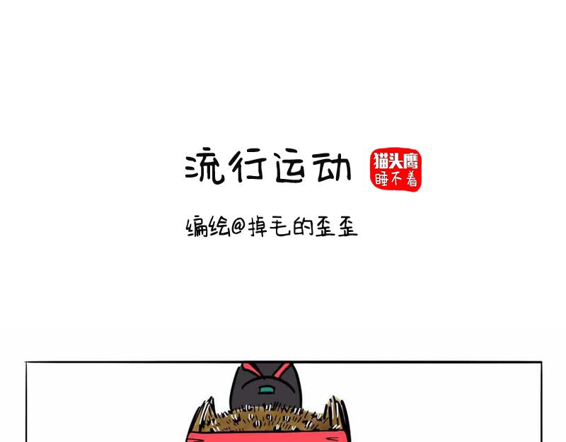 猫头鹰乐队成立-第19话