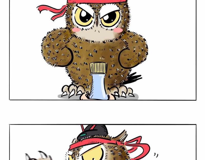 猫头鹰乐队成立-第19话