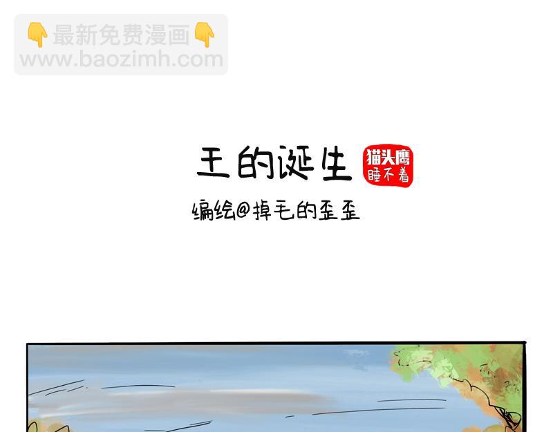 猫头鹰乐队成立-第19话